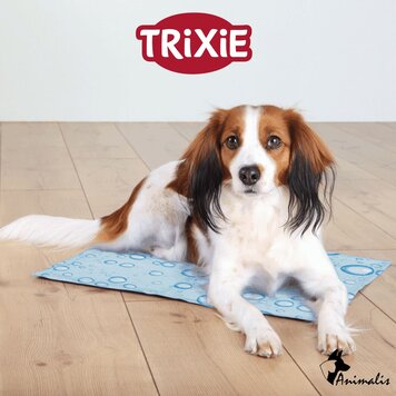 Trixie Kühlmatte