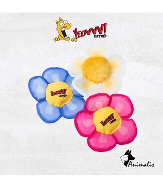 Yeowww! Daisey's Flower Top