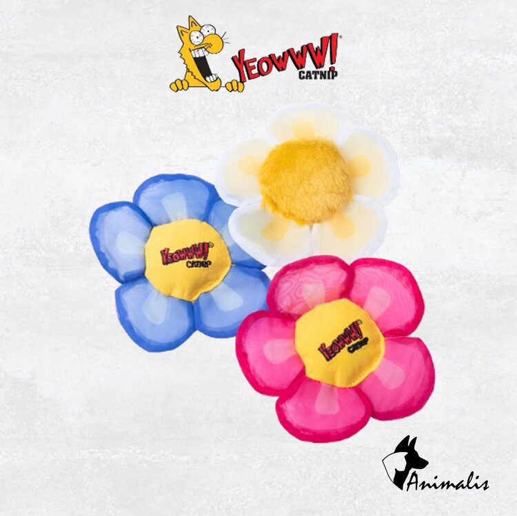 Yeowww! Daisey's Flower Top