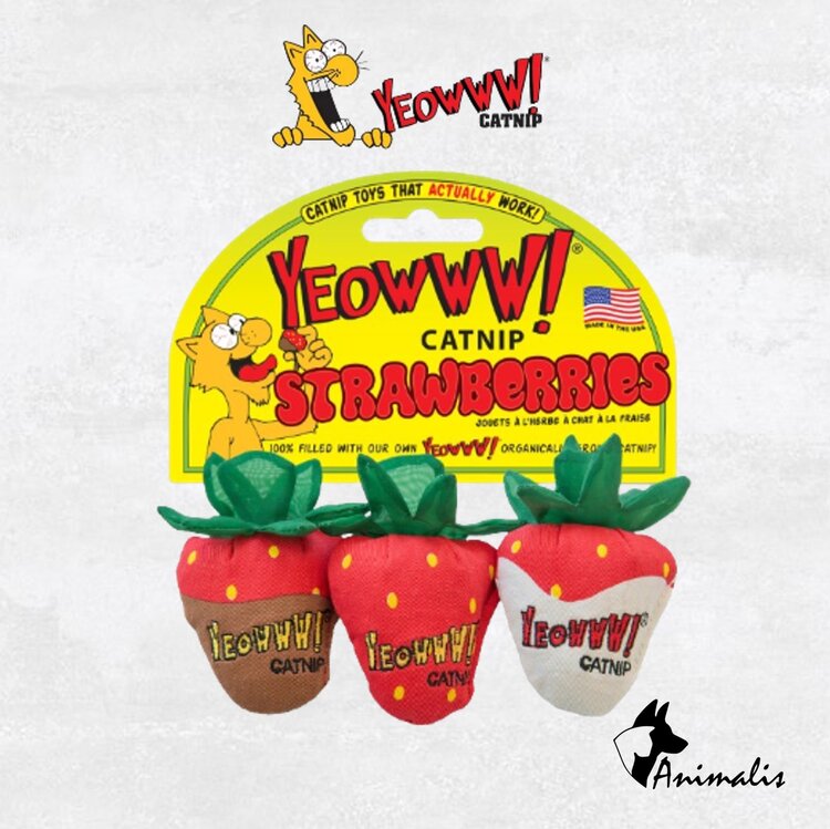 Yeowww! Strawberries (3 st)