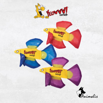 Yeowww! "Mo Betta Fish"