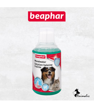 Beaphar Mondwater 250 ml