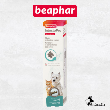 Beaphar IntestoPro Pasta H/K 20 ml