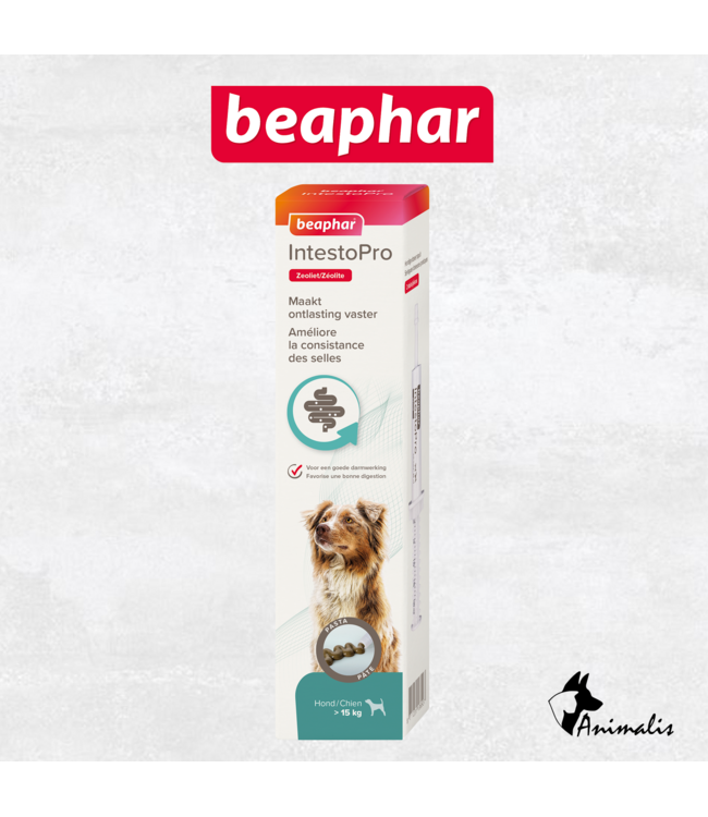 Beaphar Intestine Pro Pasta H/K 20 ml