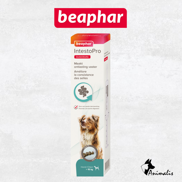 Beaphar IntestoPro Pasta H/K 20 ml