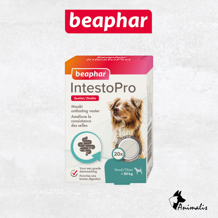 Beaphar IntestoPro Tabletten (20 st)