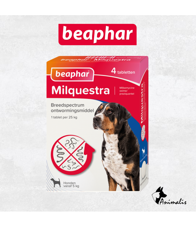 Beaphar "Milquestra"