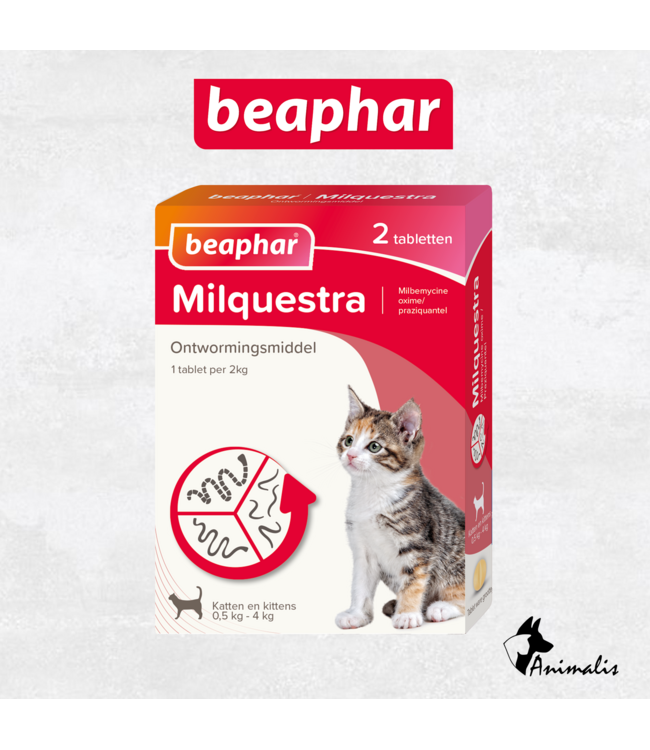 Beaphar Milquestra Katze
