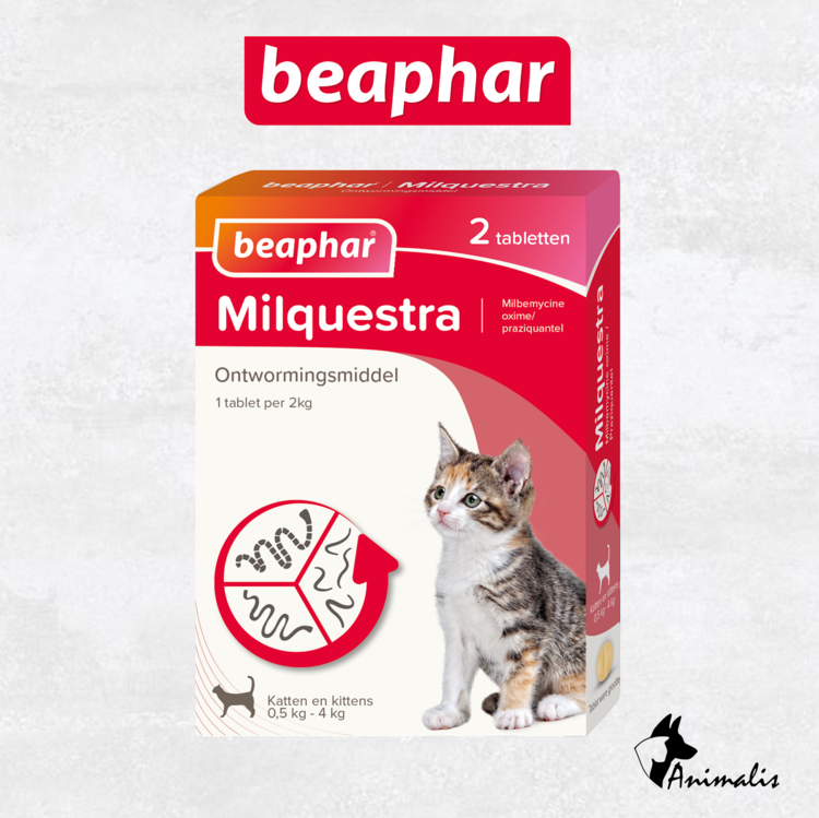 Beaphar Milquestra Cat