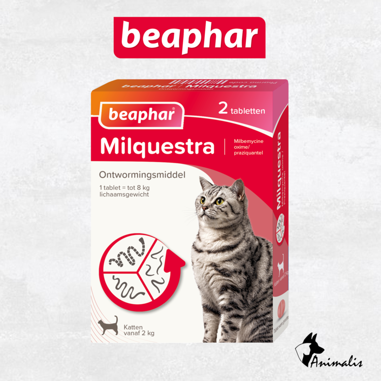 Beaphar Milquestra Kat