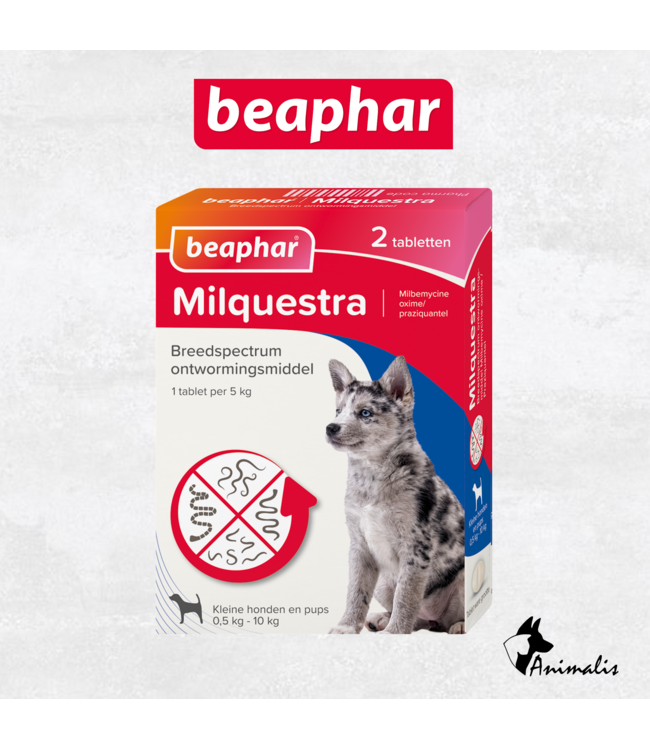 Beaphar "Milquestra"