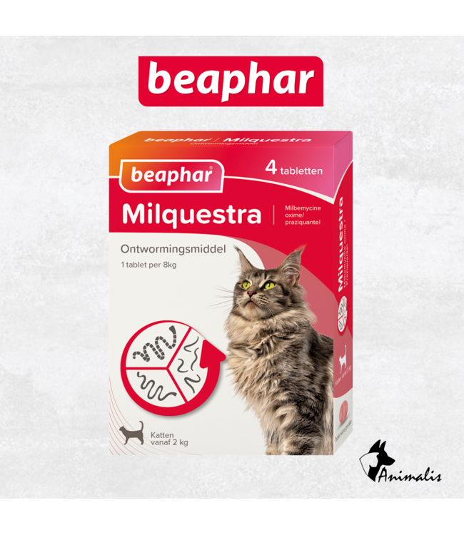 Beaphar Milquestra Kat