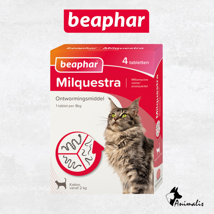 Beaphar Milquestra Kat