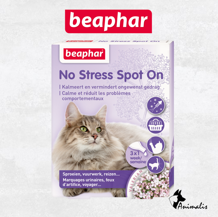 Beaphar No Stress Spot On Kat - 3 pipet