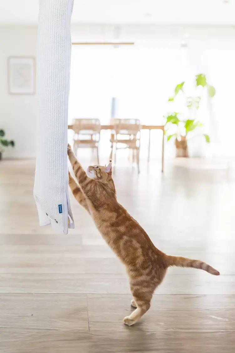 Quapas! Klimzak Sisal 180 cm