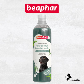 Beaphar Black Coat Shampoo