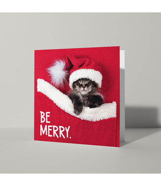 Cat'chy Images "Be Merry."
