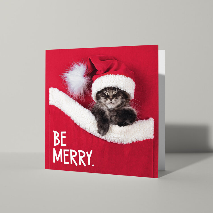 Cat'chy Images "Be Merry"