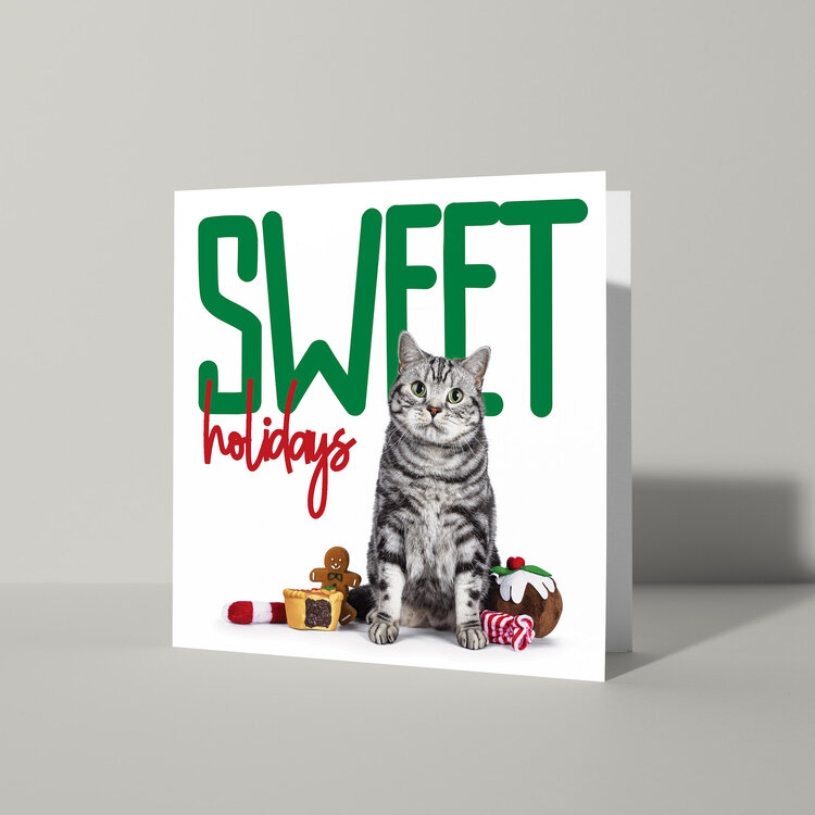 Cat'chy Images "Sweet Holidays"