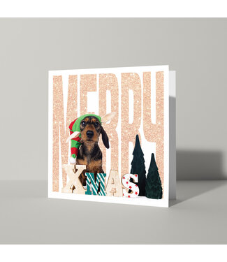 Cat'chy Images "Merry Xmas"