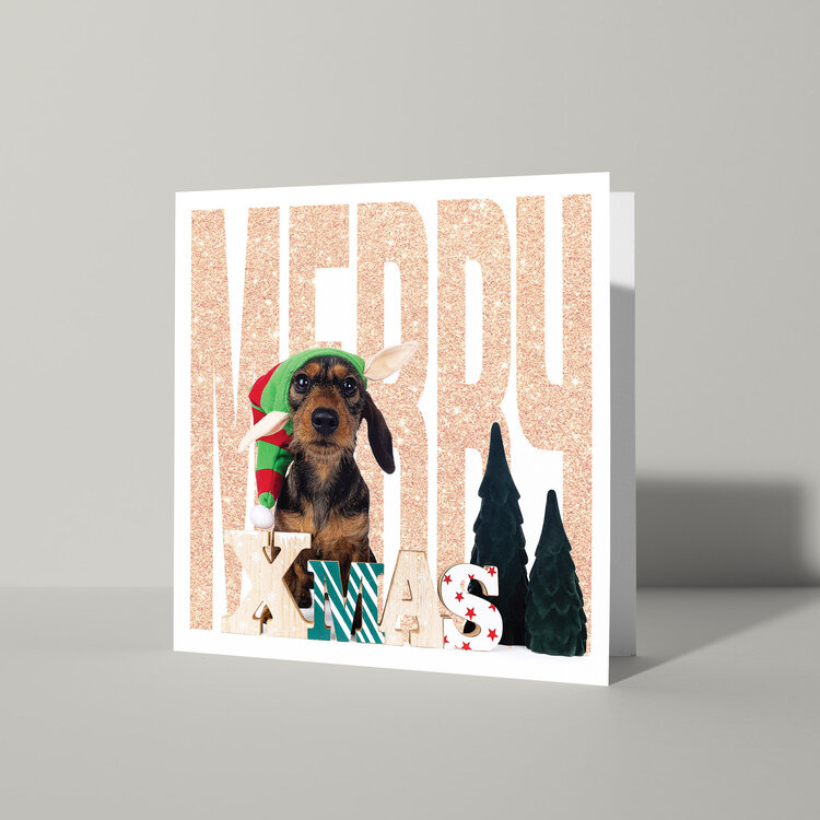 Cat'chy Images "Merry Xmas"