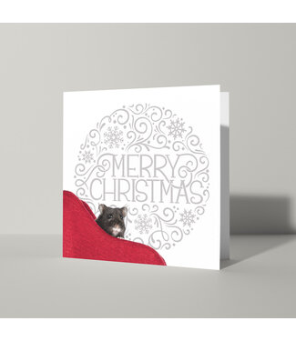 Cat'chy Images "Merry Christmas"