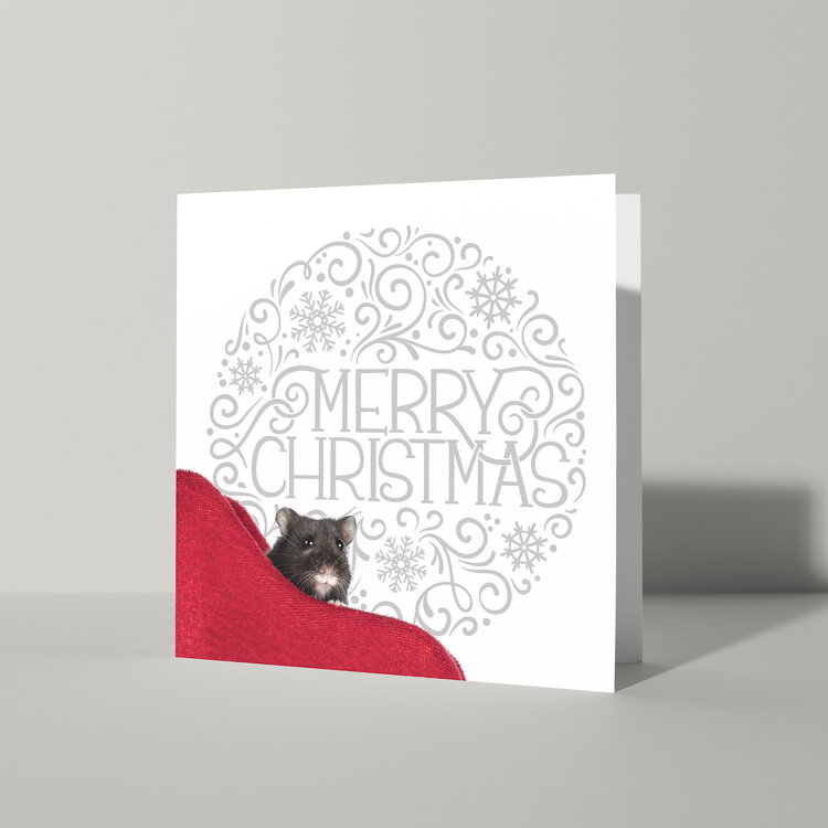 Cat'chy Images "Merry Christmas"