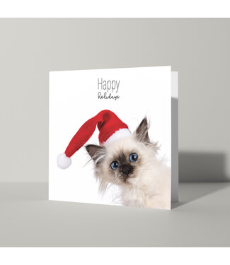 Cat'chy Images "Happy Holidays"