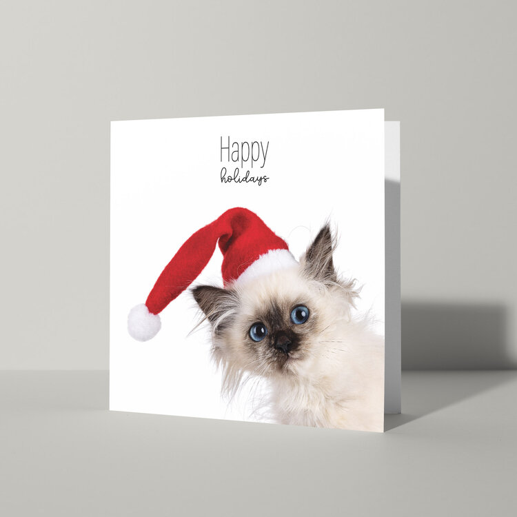 Cat'chy Images "Happy Holidays"