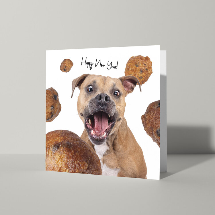 Cat'chy Images "Happy New Year"