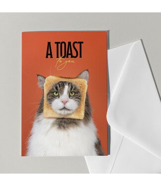 Cat'chy Images "A Toast to You"
