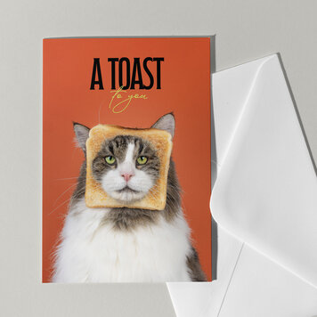 Cat'chy Images "A Toast to You"