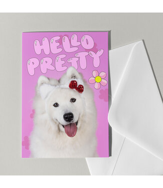 Cat'chy Images "Hello Pretty"