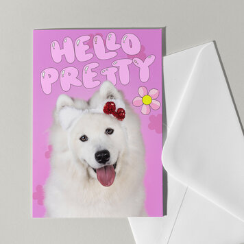 Cat'chy Images "Hello Pretty"
