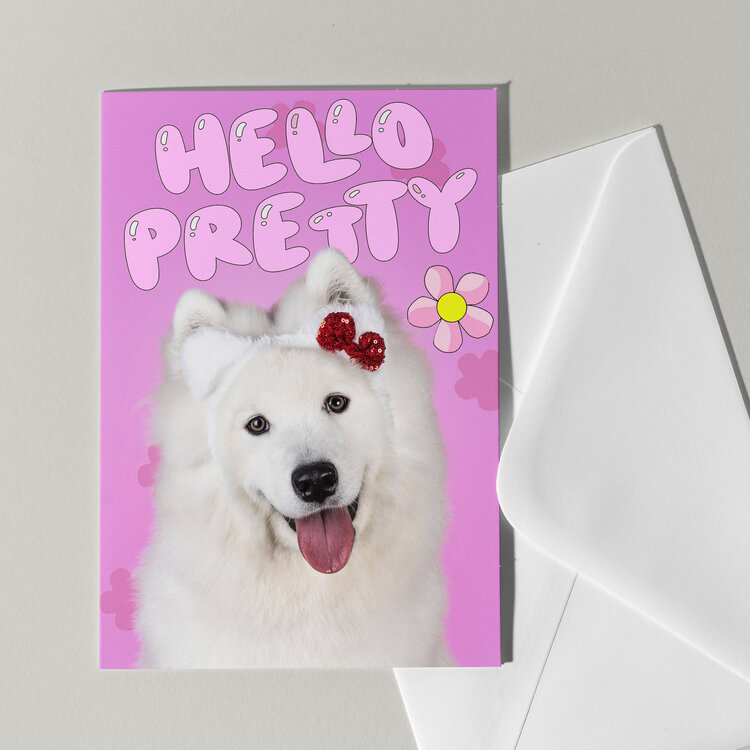 Cat'chy Images "Hello Pretty"