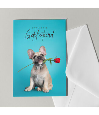 Cat'chy Images "Van Harte Gefeliciteerd"