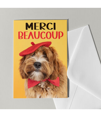 Cat'chy Images "Merci Beaucoup"
