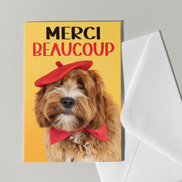 Cat'chy Images "Merci Beaucoup"