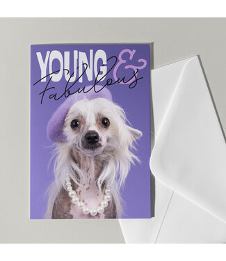 Cat'chy Images "Young & Fabulous"