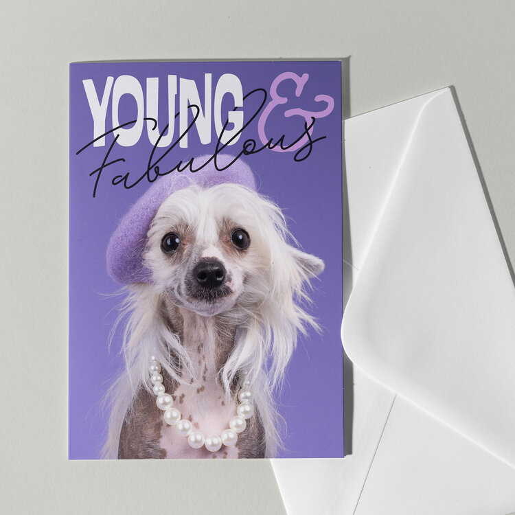 Cat'chy Images "Young & Fabulous"