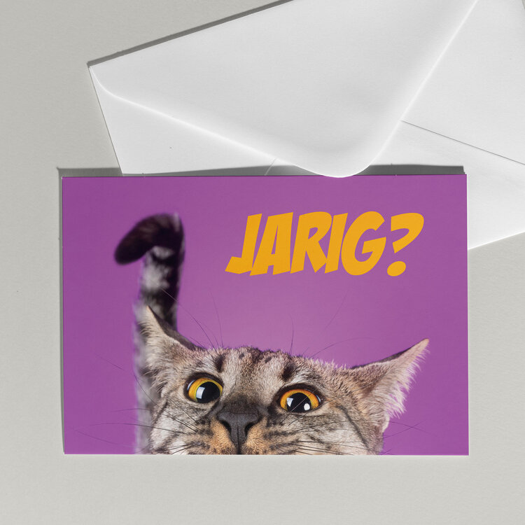 Cat'chy Images "Jarig?"