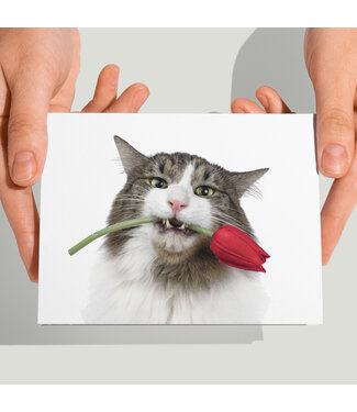 Cat'chy Images "Tulp"