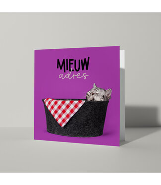 Cat'chy Images "Mieuw Adres"