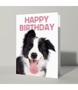 Cat'chy Images "Happy Birthday"