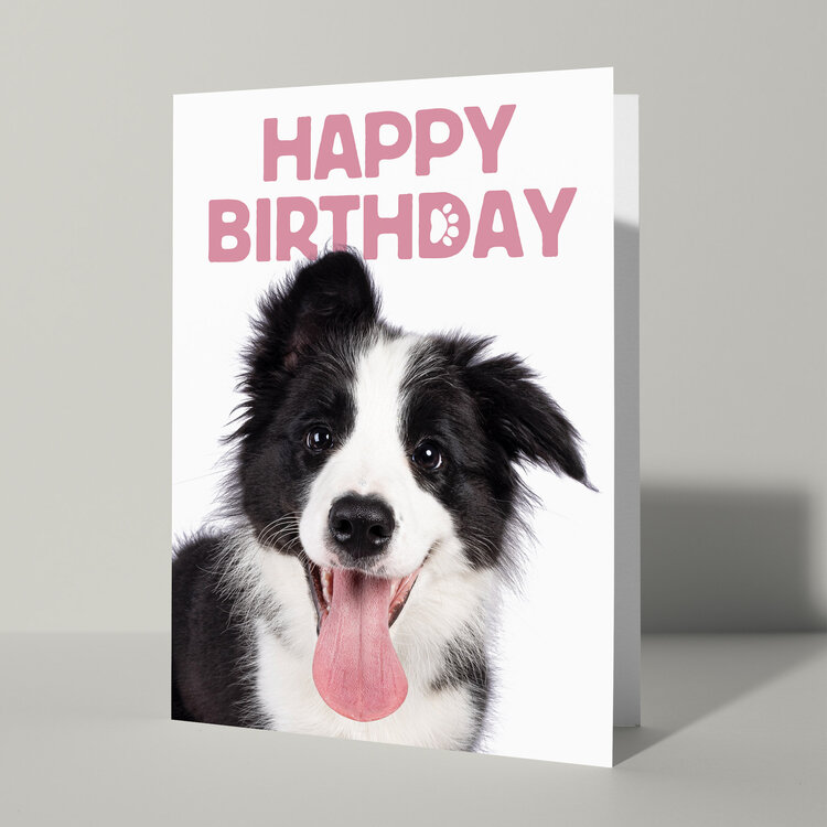 Cat'chy Images "Happy Birthday"