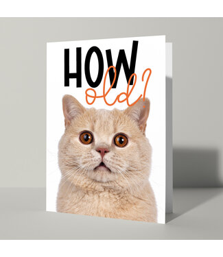 Cat'chy Images "How Old?"