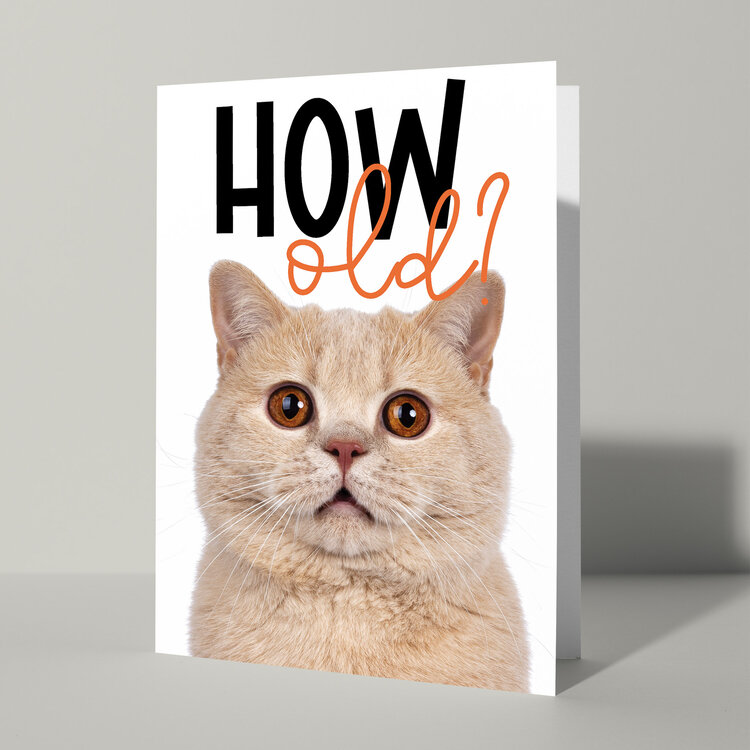 Cat'chy Images "How Old?"