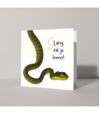 Cat'chy Images "Slang Zal Je Leven!"