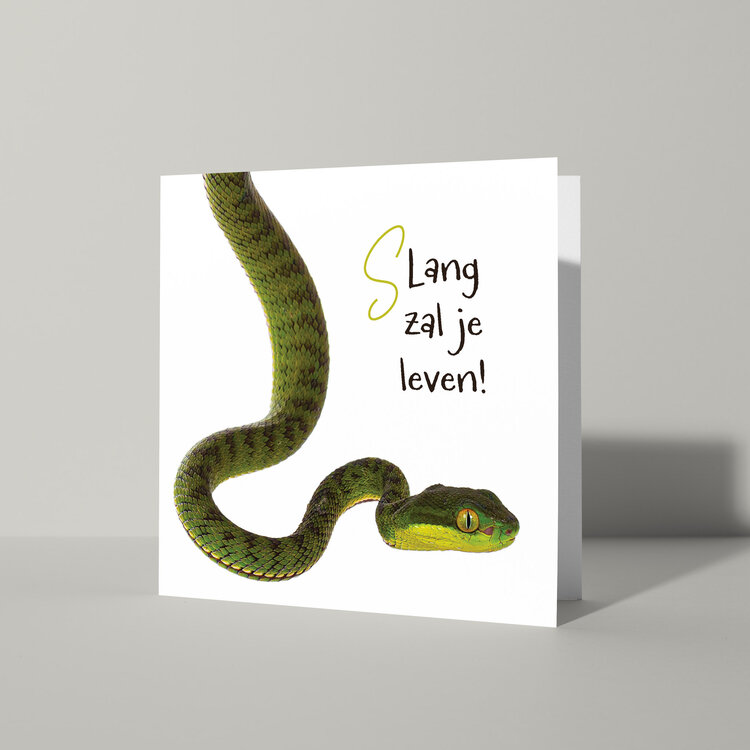 Cat'chy Images "Slang Zal Je Leven!"