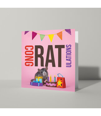 Cat'chy Images "CongRATulations"